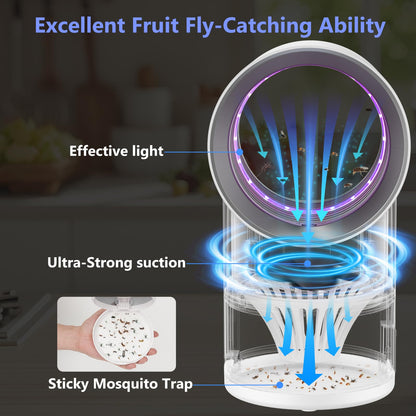 Fruit Fly Trap for Indoors, Blue Bug Zapper Indoor with Suction & Timer | Uv Light Lures Fruit Flies/Gnats, Timer 6/12hrs, Plug in Fly Trap with Suction, Kid & Pet Applicable, Low Noise, 10 refills