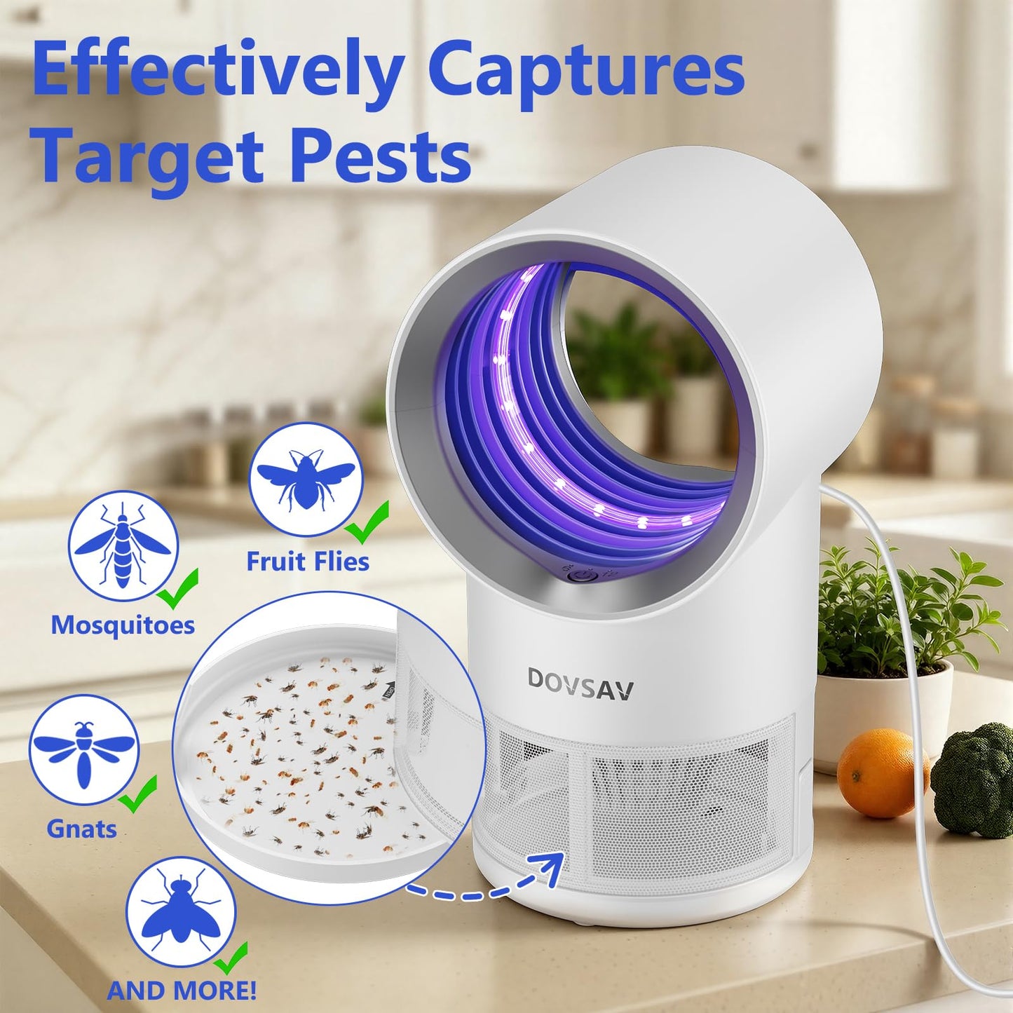 Fruit Fly Trap for Indoors, Blue Bug Zapper Indoor with Suction & Timer | Uv Light Lures Fruit Flies/Gnats, Timer 6/12hrs, Plug in Fly Trap with Suction, Kid & Pet Applicable, Low Noise, 10 refills
